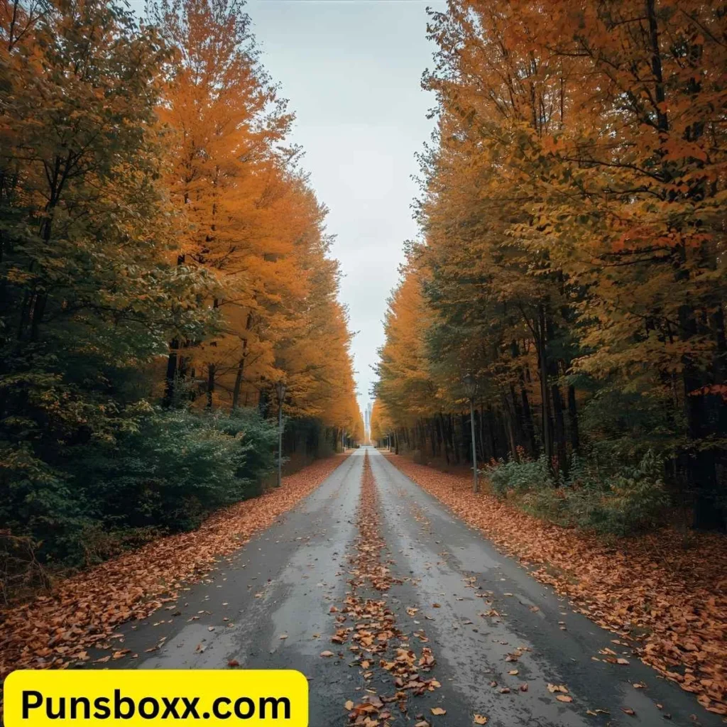 Autumn Puns for Instagram