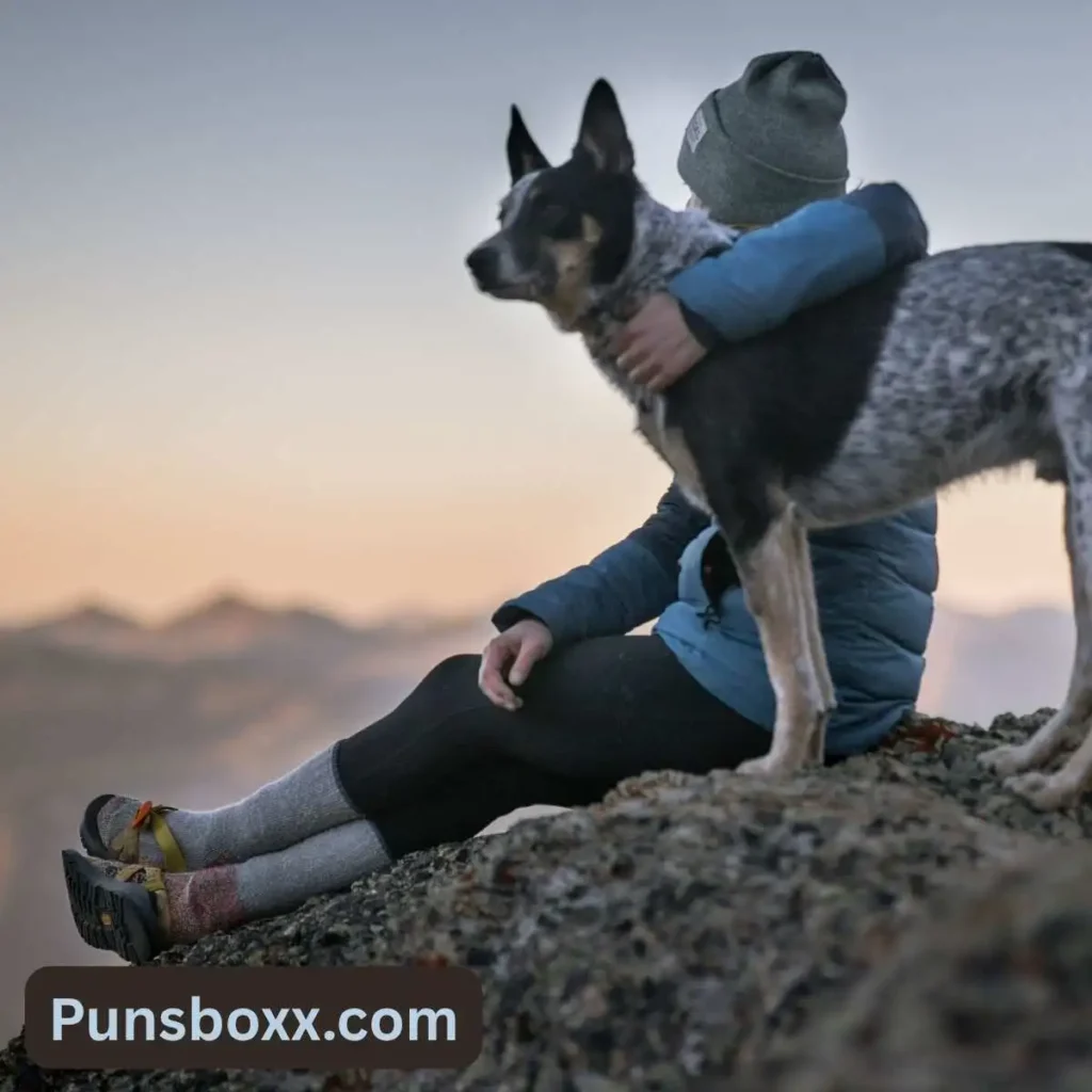 Dog Hiking Puns