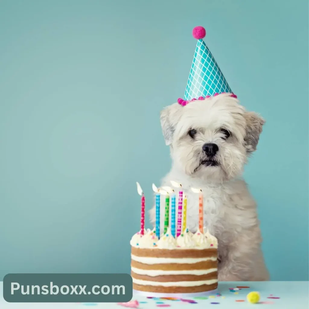 Funny Birthday Card Puns