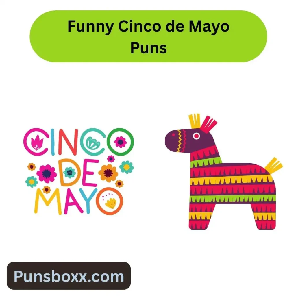 Funny Cinco de Mayo Puns