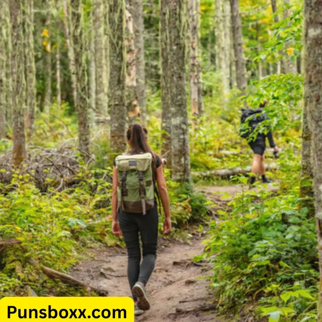 Hiking Puns Reddit