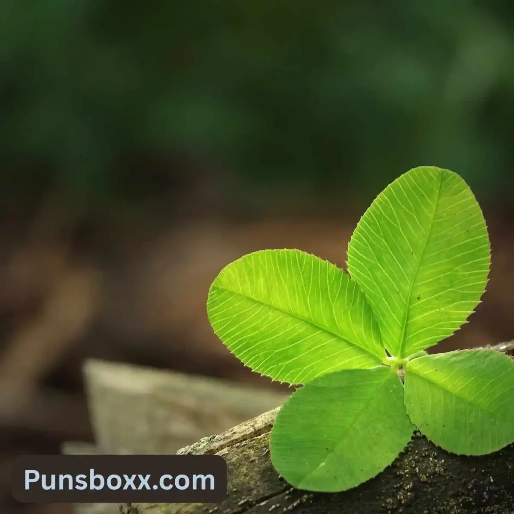 Irish Puns One-Liners