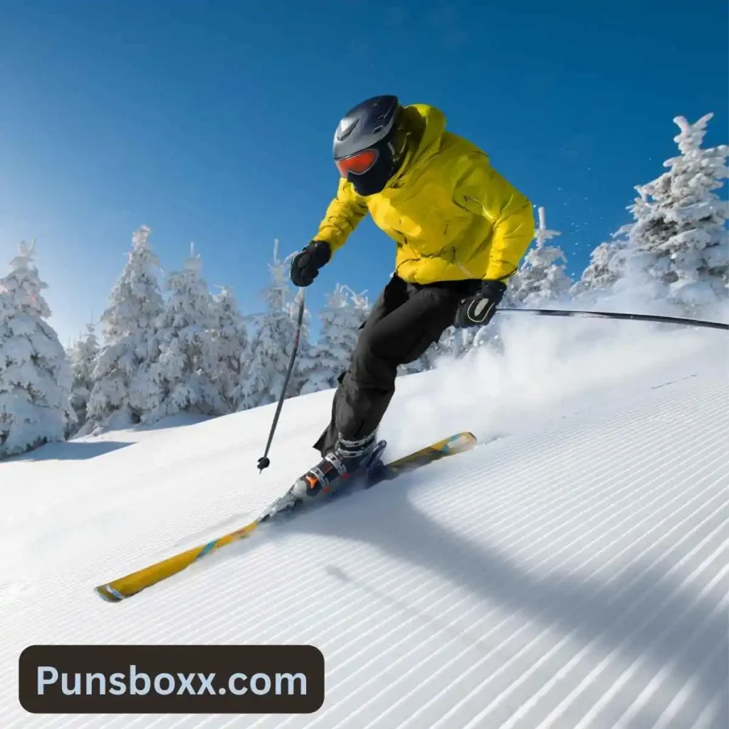 Snow Ski Puns