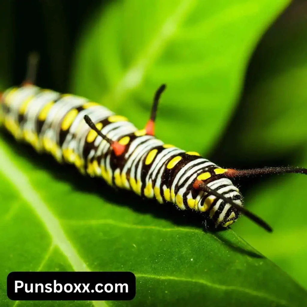 Worm Puns Names