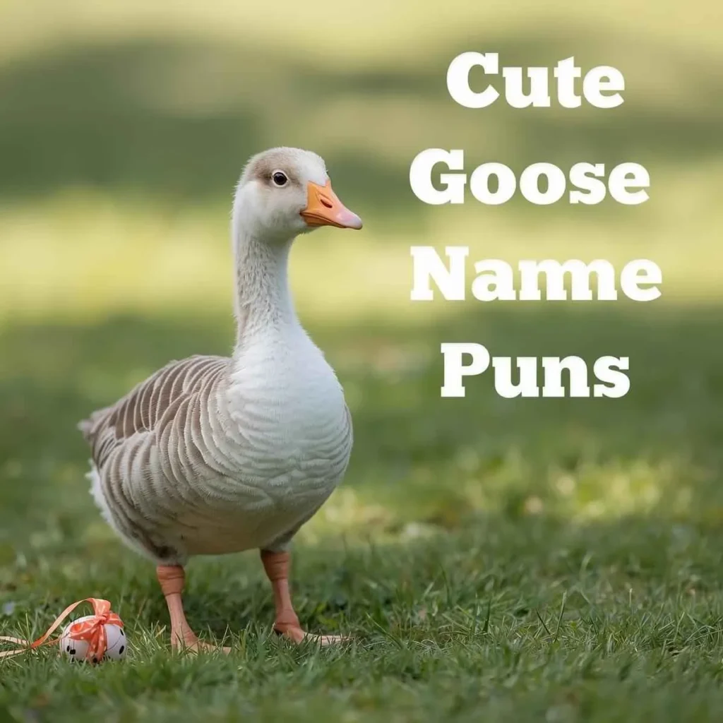 Cute Goose Name Puns