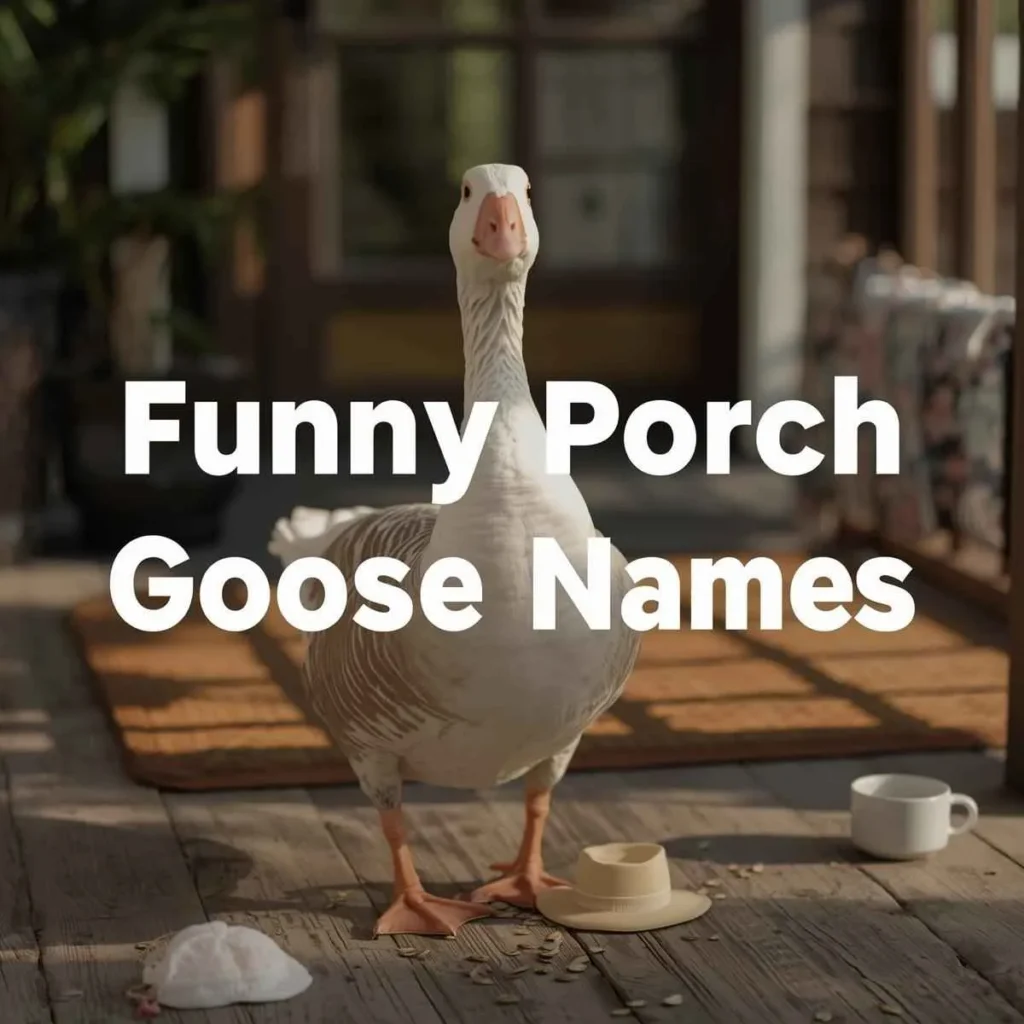 Funny Porch Goose Names 