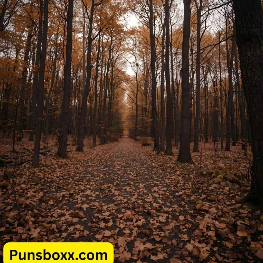 Short Funny Autumn Puns