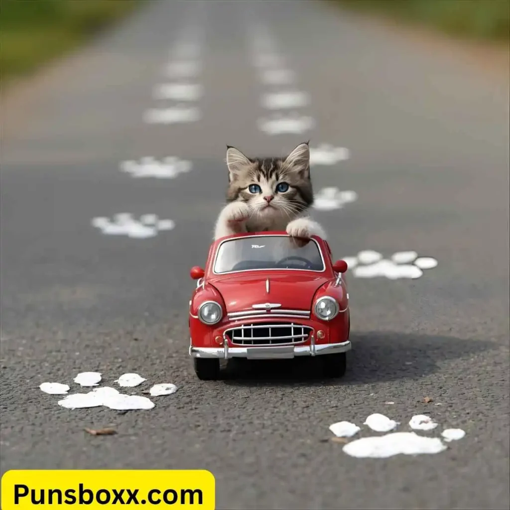 Cat Car Puns