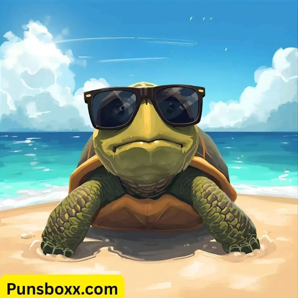 Funny Turtle Puns