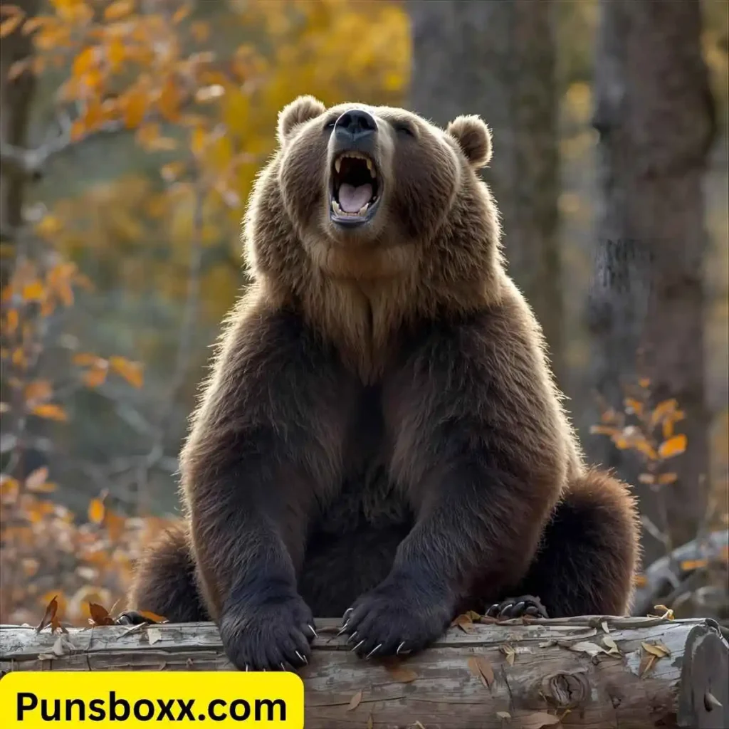 Funny Bear Puns