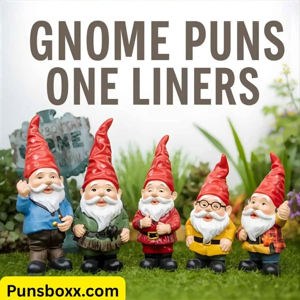 Gnome Puns One Liners