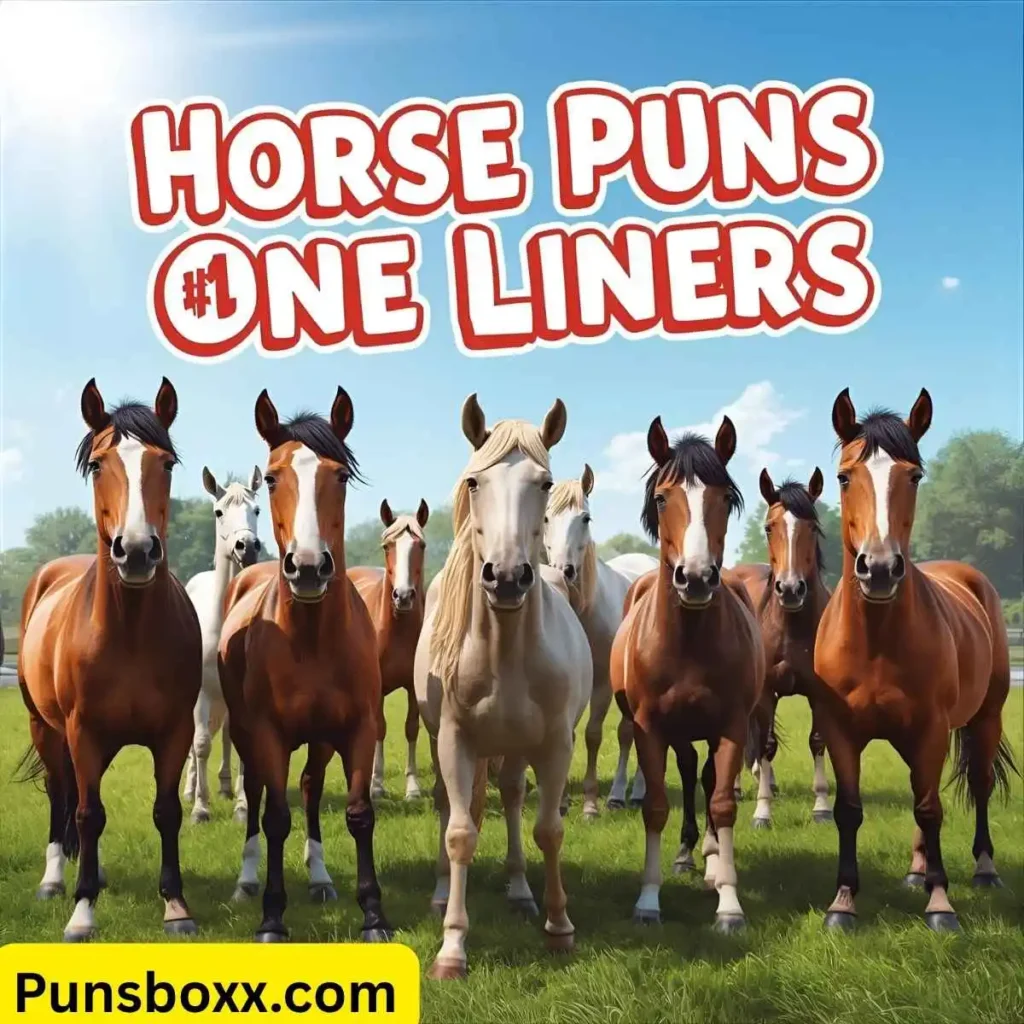 Horse Puns One Liners