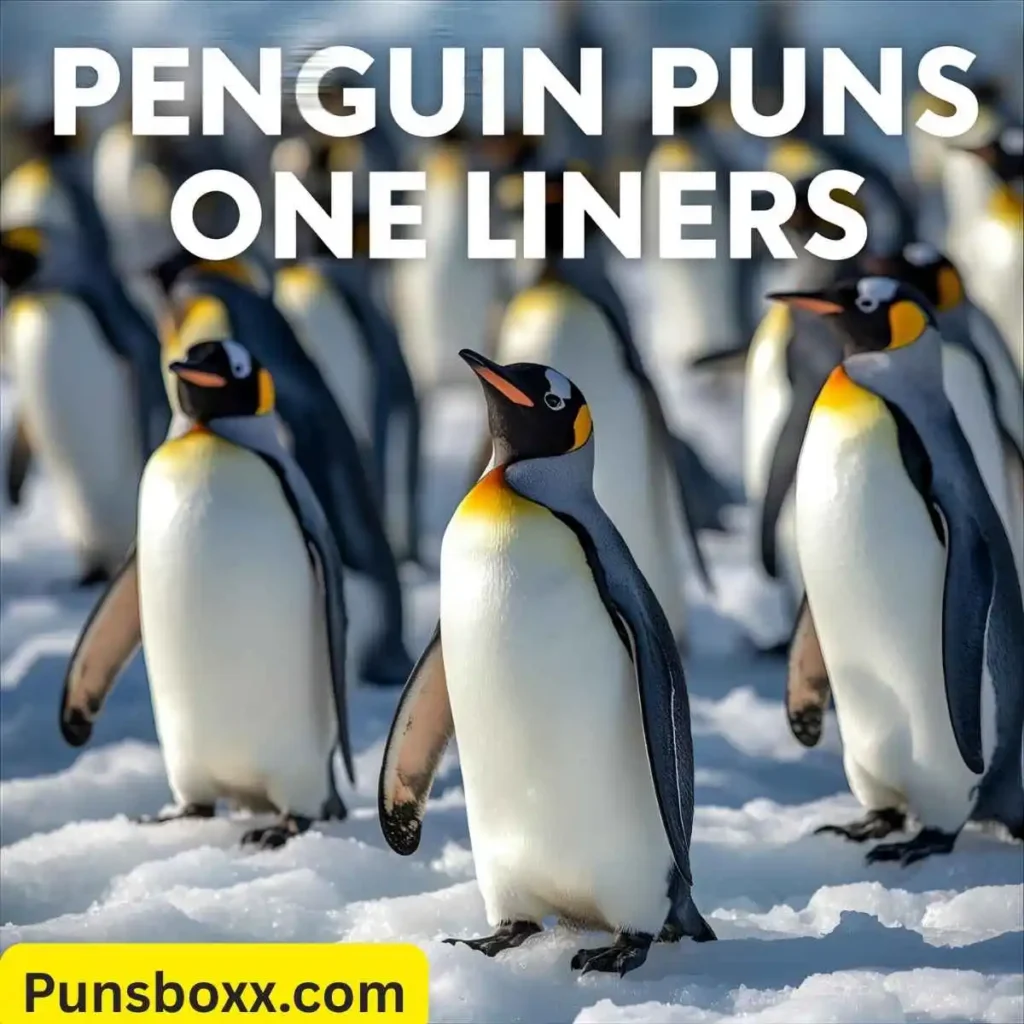 Penguin Puns One Liners
