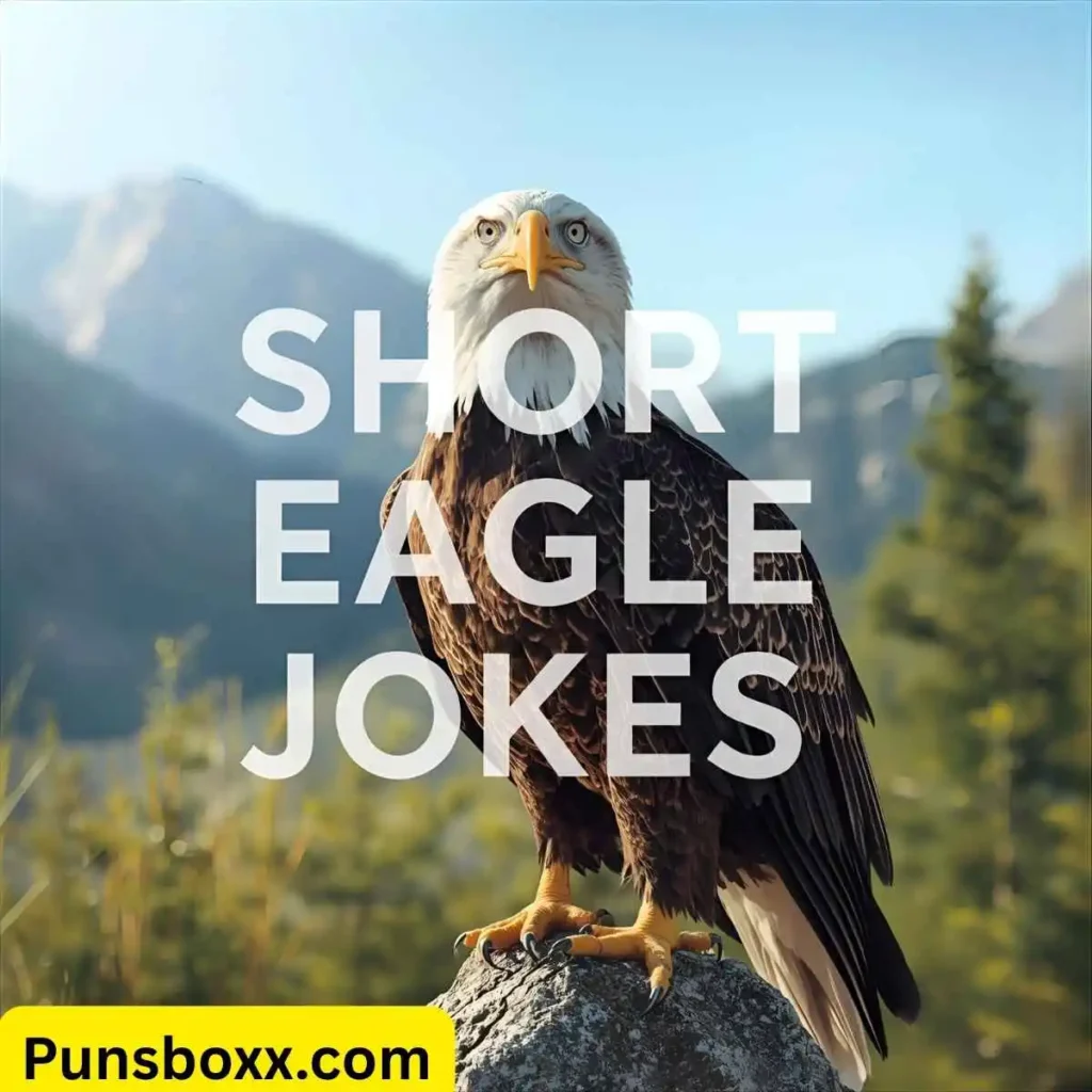 Short Eagle Jokes