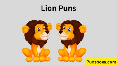 Lion Puns