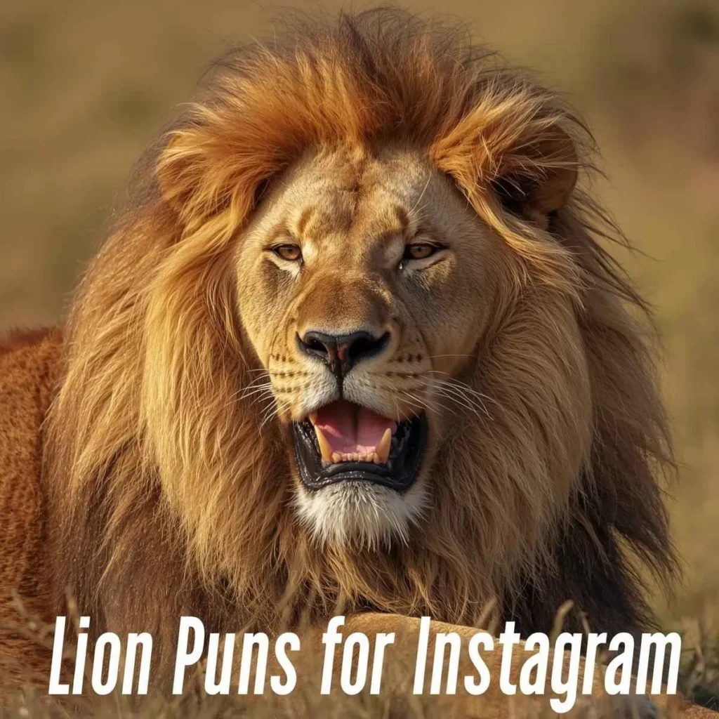 Lion Puns for Instagram