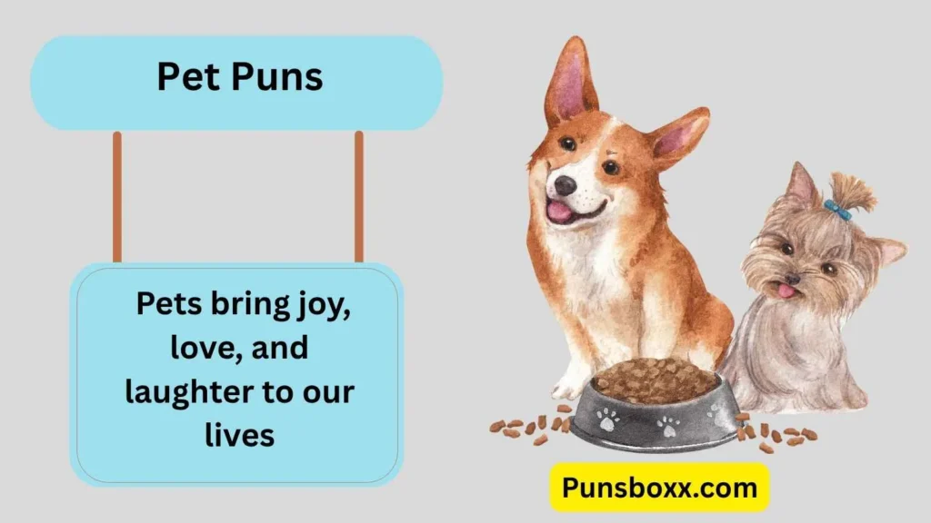 Pet Puns