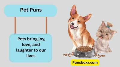 Pet Puns