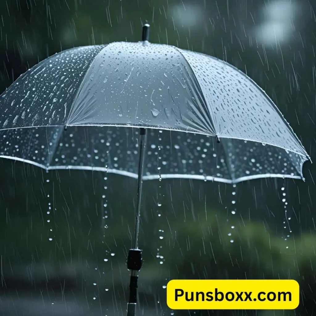 Rain Puns One-Liners
