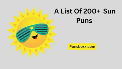 Sun Puns