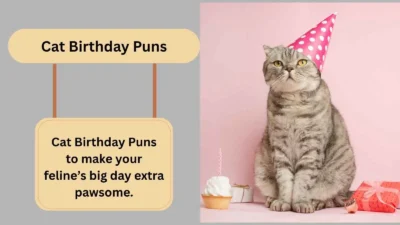 Cat Birthday Puns