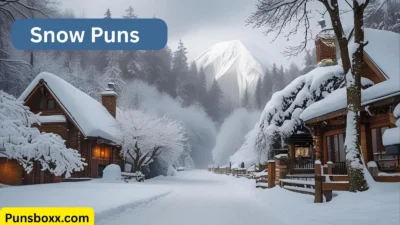 Snow Puns