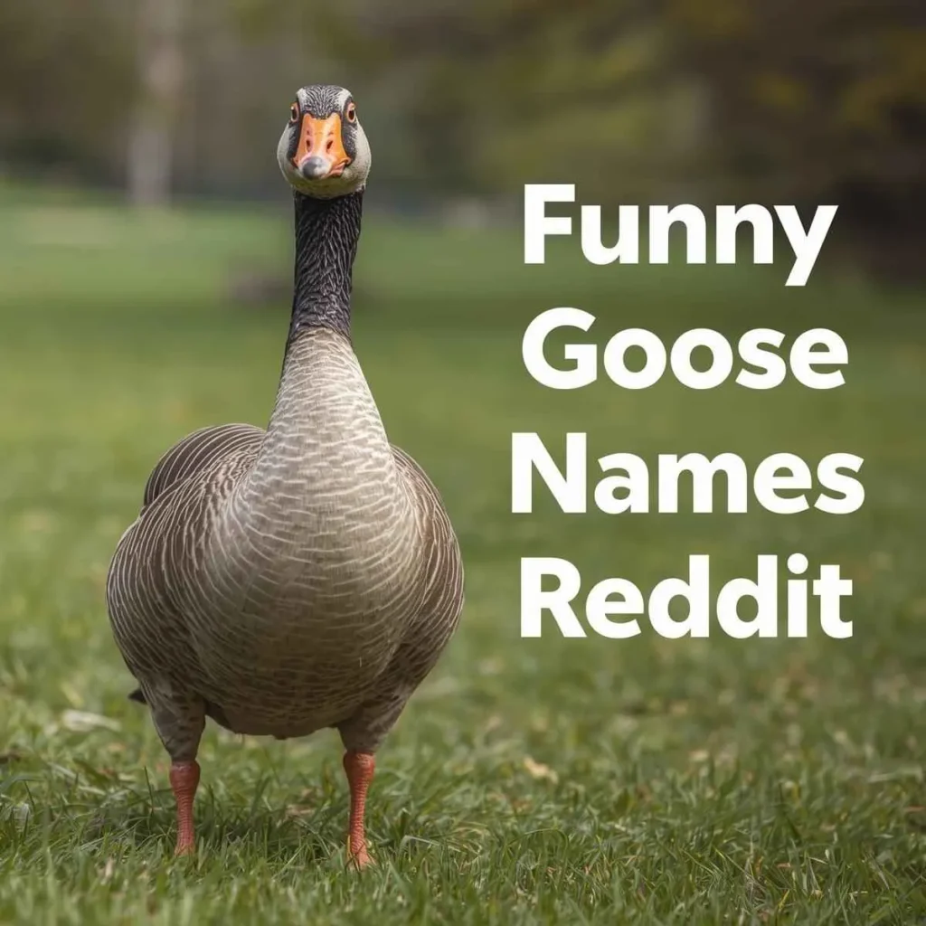 Funny Goose Names Reddit