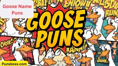 Goose Name Puns