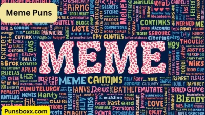 Meme Puns