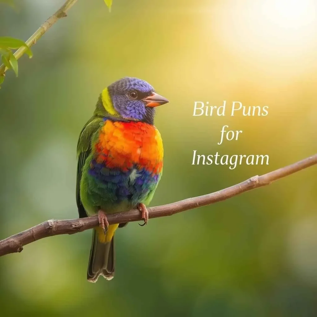 Bird Puns for Instagram