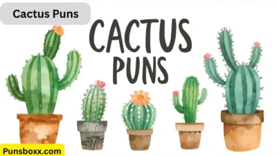 Cactus Puns