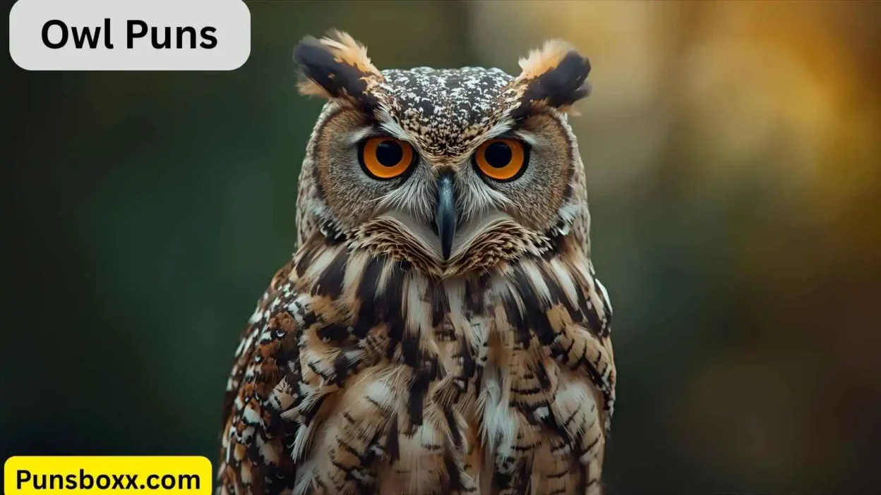 Owl Puns