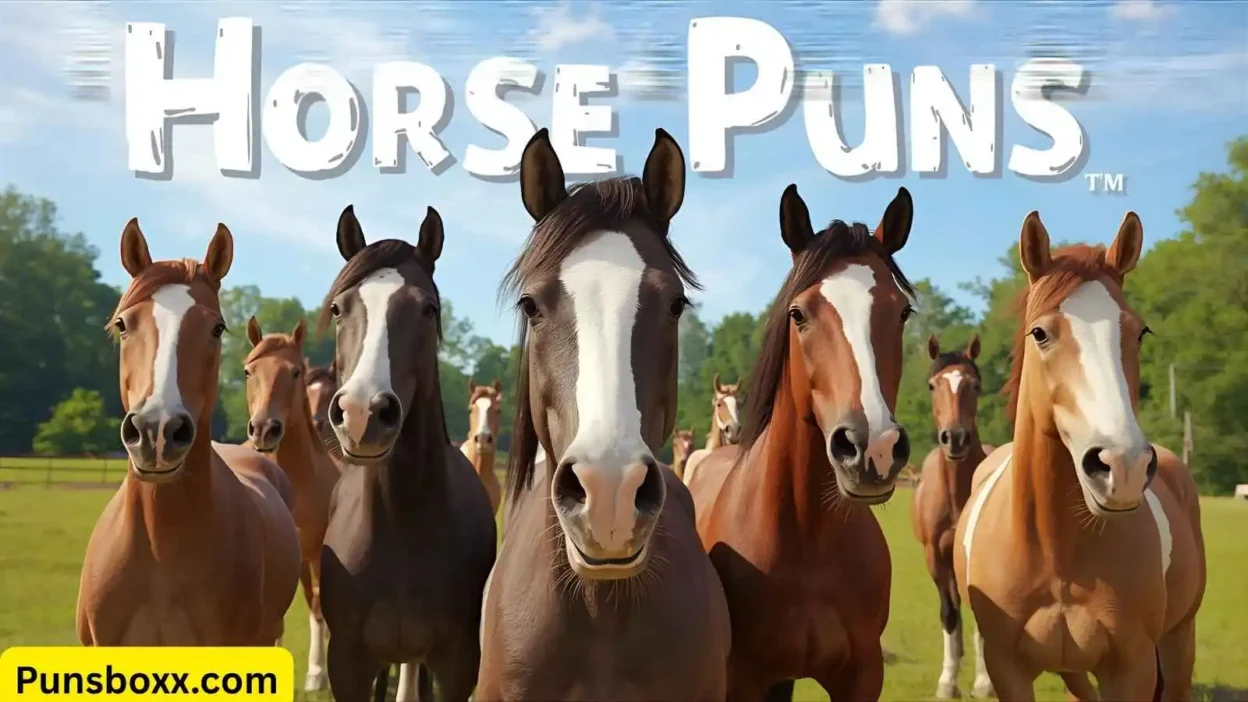 Horse Puns