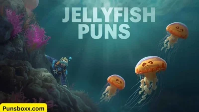 Jellyfish Puns
