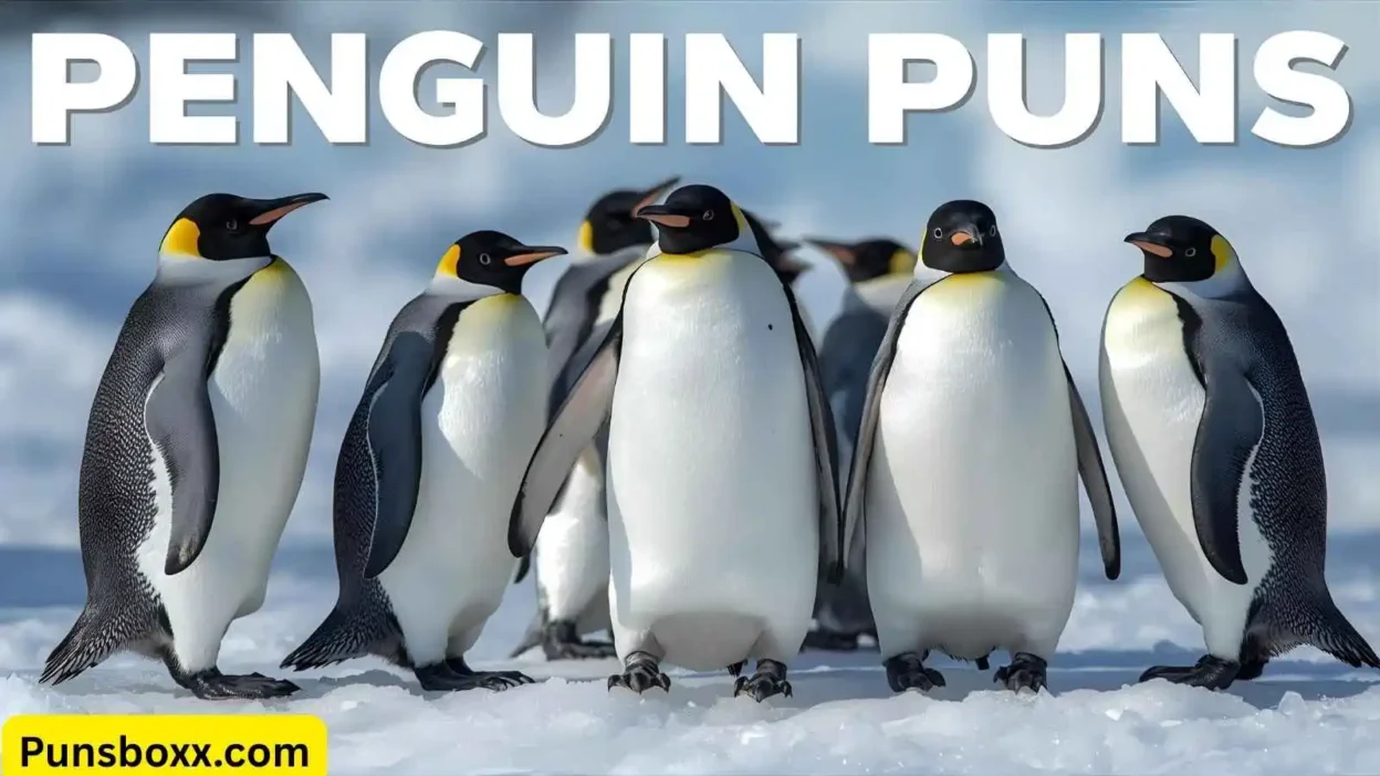 Penguin Puns