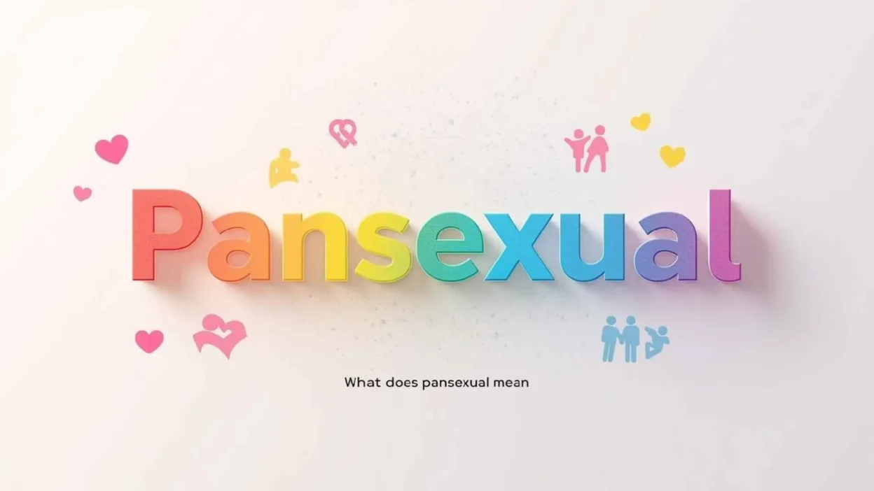 Pansexual Mean