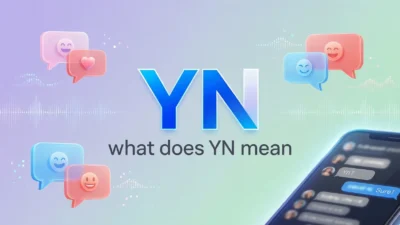 YN Mean in Text
