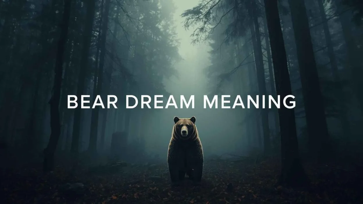 Bear Dream Meaning