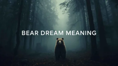 Bear Dream Meaning