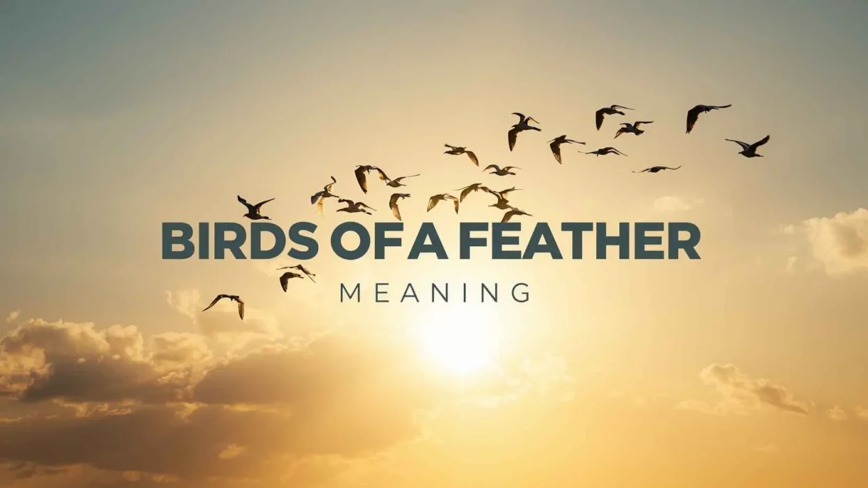 Birds of a Feather Meaning