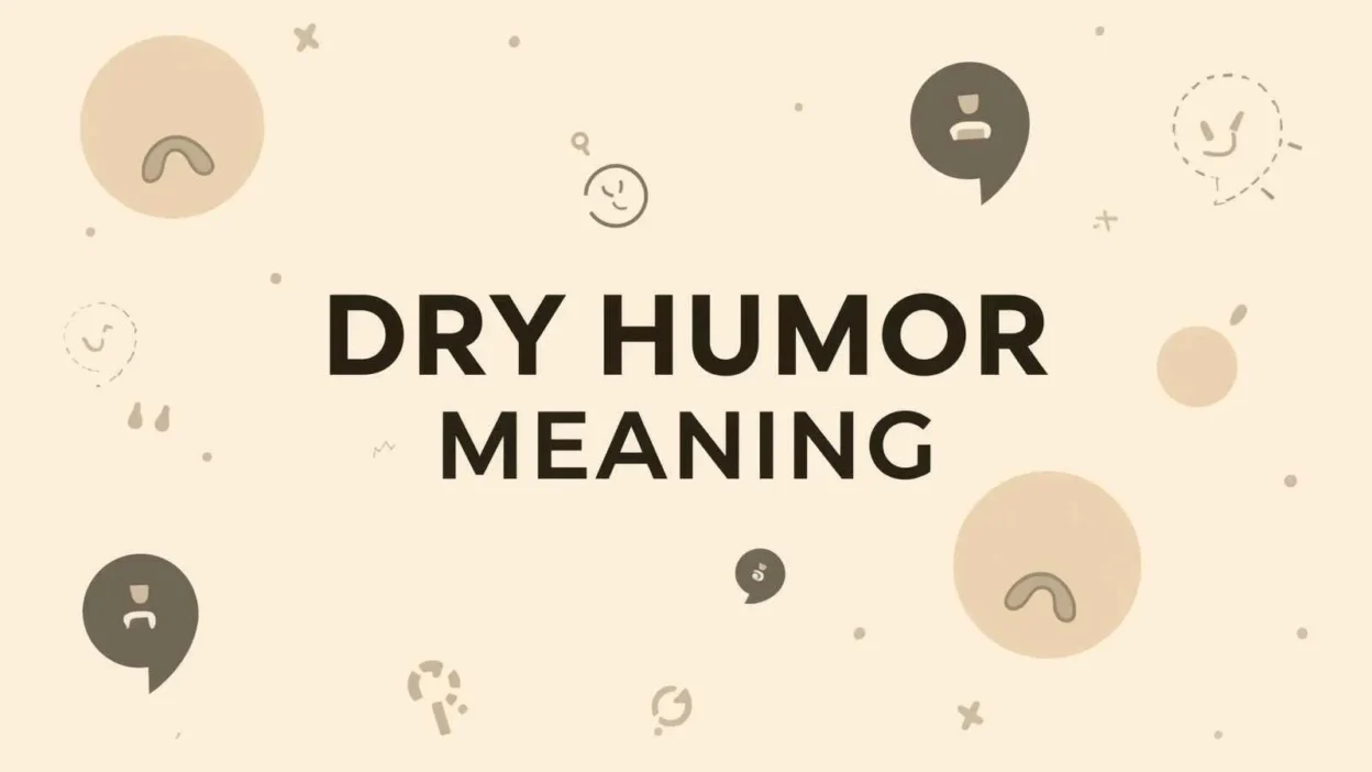 Dry Humor Meaning