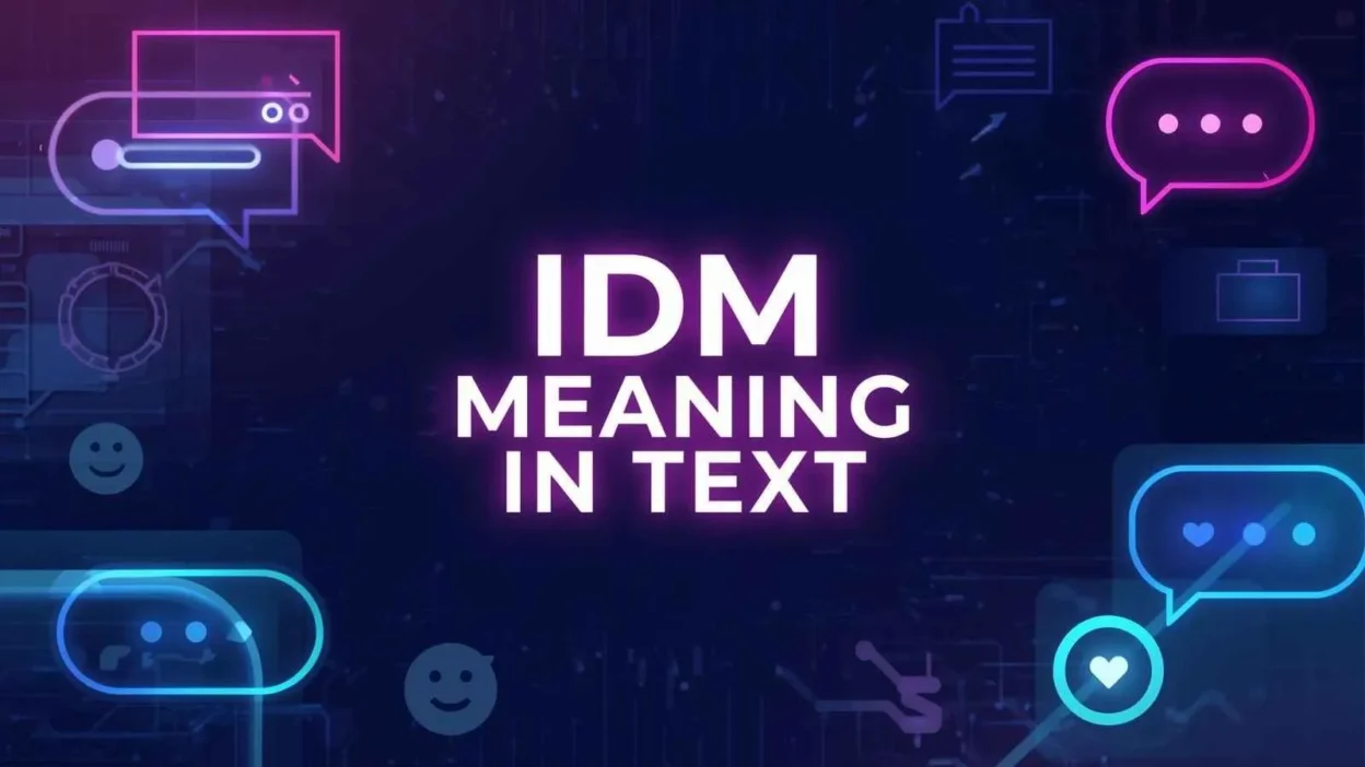 IDM Mean in Text