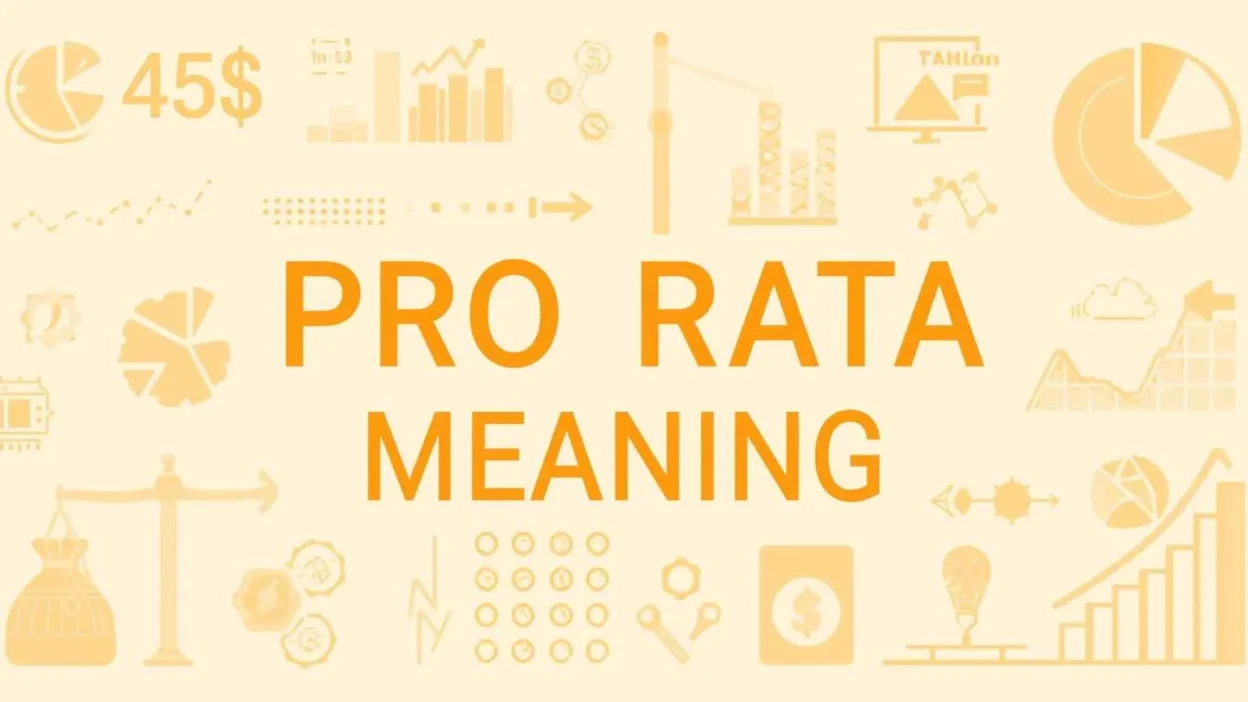 Pro Rata Meaning