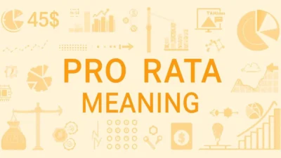Pro Rata Meaning