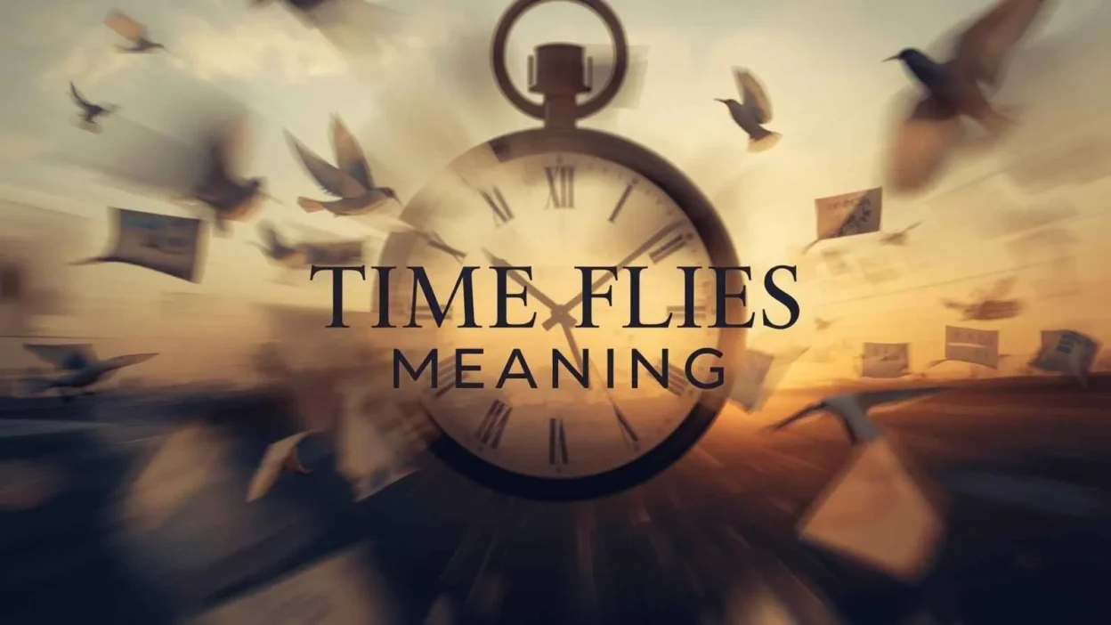 Time Flies Meaning